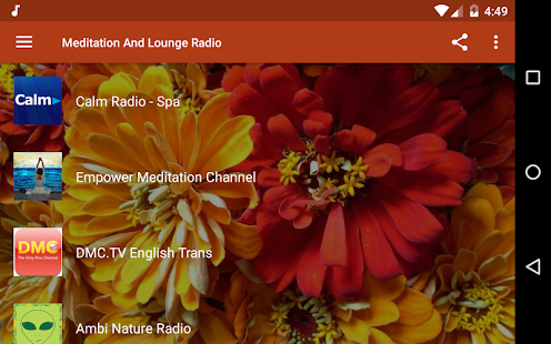 Meditation Lounge Radio - Reik Screenshot
