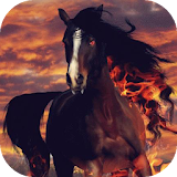 Horse at sunset live wallpaper icon