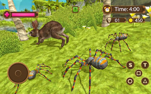 Tarantula Spider Life Game 1
