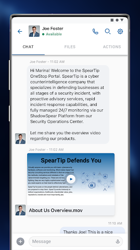 SpearTip: Client Portal Screen 3