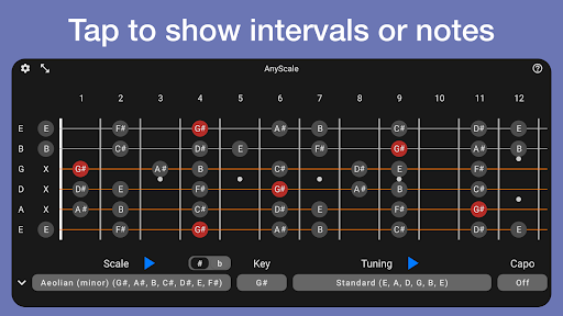 AnyScale - Tunings & Scales Screen 3