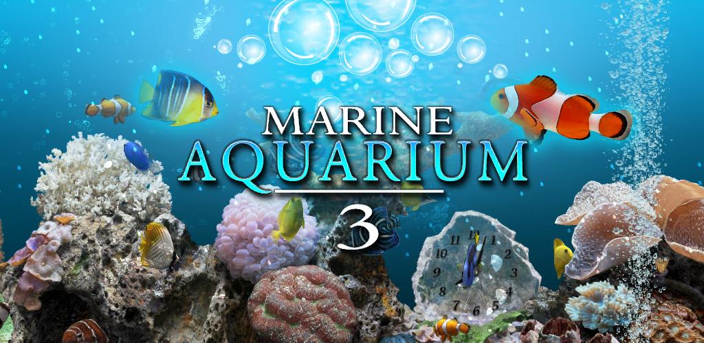 Marine aquarium. Заставка Marine Aquarium. Maritime аквариум. Заставка Marine Aquarium 1.