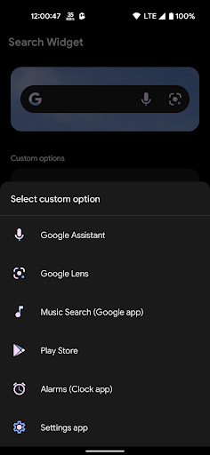 Screenshot of Search Widget (Material You)