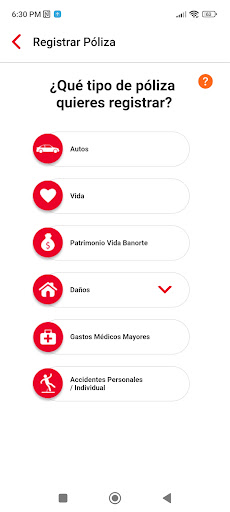 SEGUROS BANORTE Screen 3