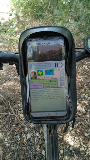 Vista previa de la aplicación