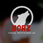 Cover Image of ดาวน์โหลด Borz Halal Restauracja 1679643242 APK