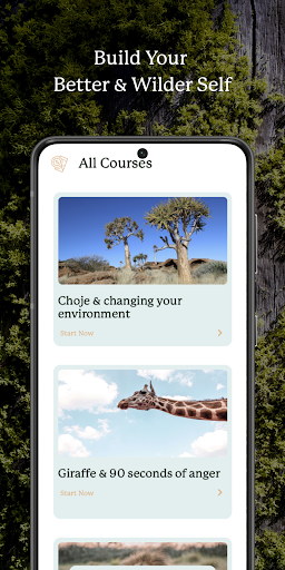 Android application Wildya screenshort