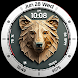 Bear Accessory - watch face - Androidアプリ