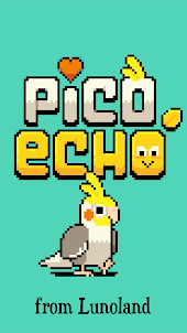 Pico Echo