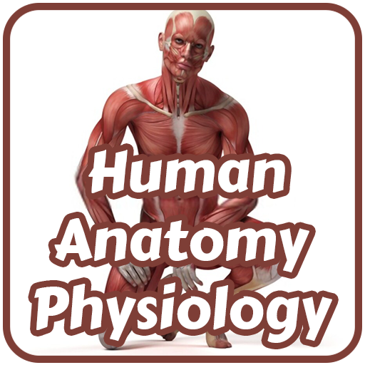 Human Anatomy & Physiology विंडोज़ पर डाउनलोड करें