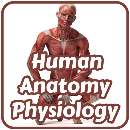 Human Anatomy & Physiology Windows에서 다운로드