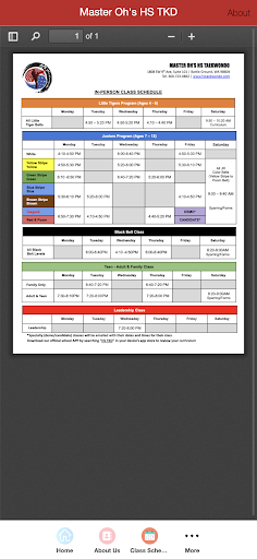 Master Ohs HS TKD Screen 2