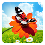 Cover Image of Télécharger Spring Butterflies LWP 3.6 APK