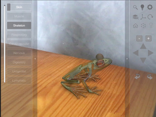 3D Frog Skeleton screenshot 10