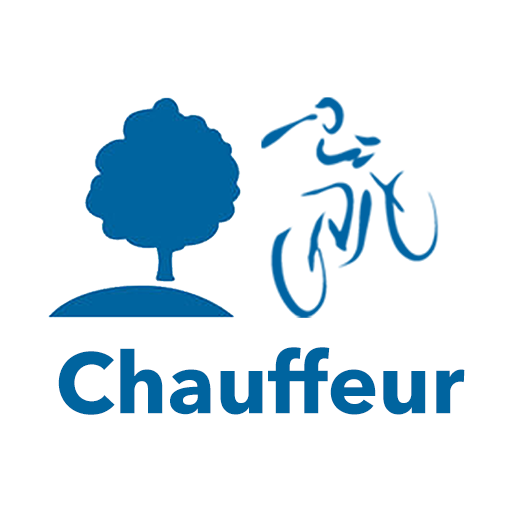 Bührer Intern logo