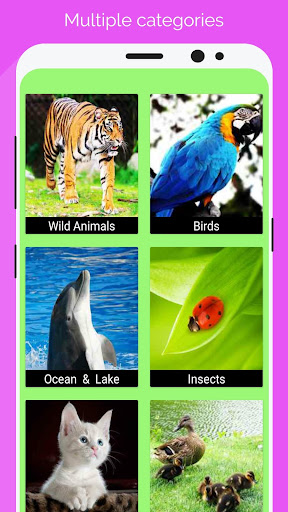 Android application Animal Sounds : Ringtones screenshort