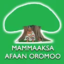 Mammaaksa Afaan Oromoo 