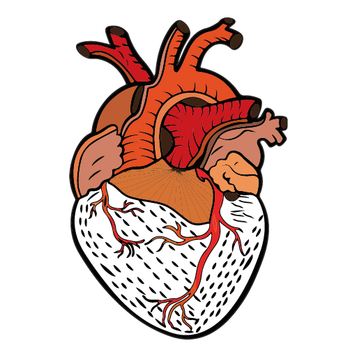 Anatomy Coloring Book logo