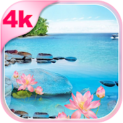 Beach HD Free 4K Wallpapers ?️