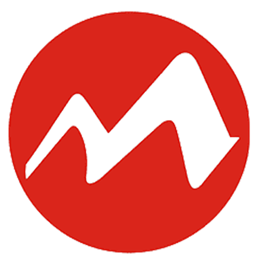 Metro Shoes logo