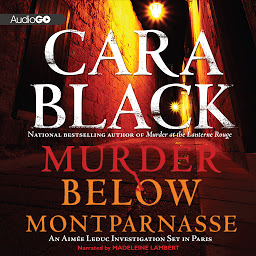 Icon image Murder below Montparnasse