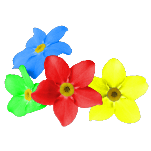 Forget me not Header - AppWisp.com