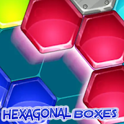 Special hexagonal Puzzle