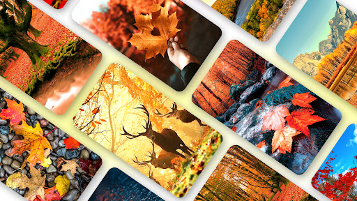 Android application Autumn Wallpaper 2023 screenshort
