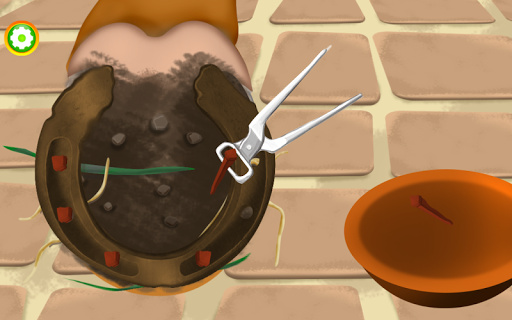 Horse Care Mane Braiding 2