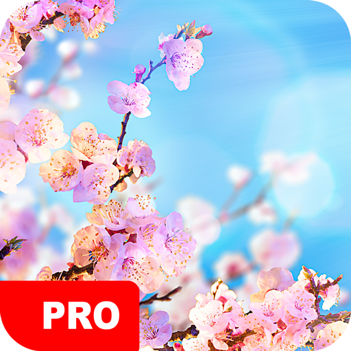 Spring Wallpapers PRO 5.7.91 Icon
