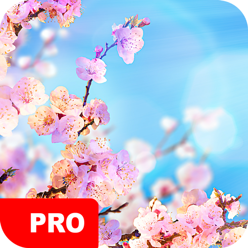 Spring Wallpapers PRO logo