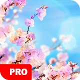 Spring Wallpapers PRO icon