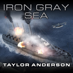 Icon image Destroyermen: Iron Gray Sea
