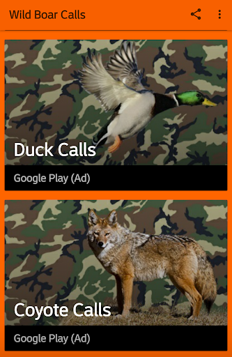 Wild Boar Hunting Calls Screen 3