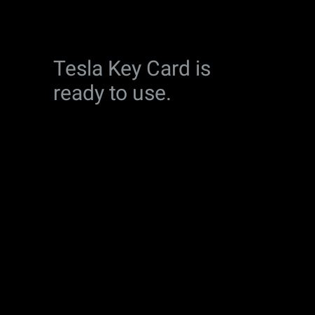 Tesla Key Wear Screen 2