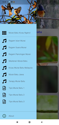 Android application Masteran Murai Batu Gacor screenshort