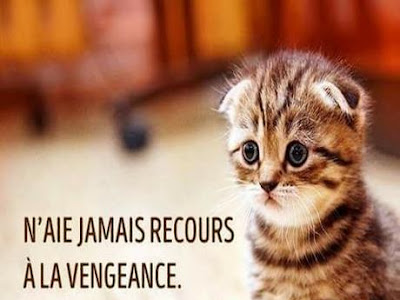 [Je voulais le plus] parler citation 284828-Citation parler sur les autres