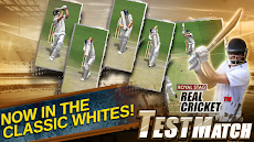 Real Cricket™ Test Matchのおすすめ画像3