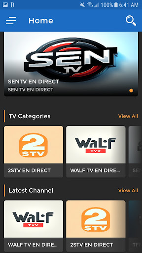 Senegal Live TV Screen 2