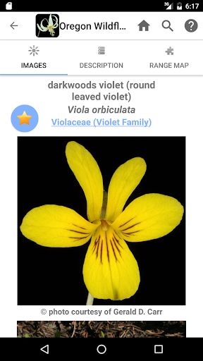 Screenshot of Oregon Wildflowers