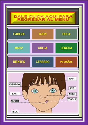Android application Partes de la cabeza en inglés screenshort