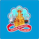 Shrine Basilica Vailankanni Donation Apk