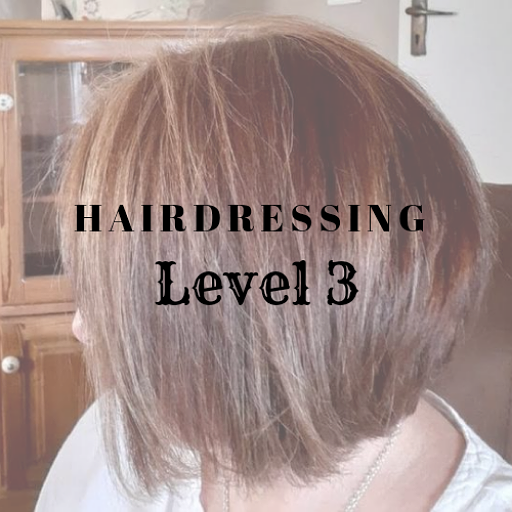 HairbyFoxy level3 hairdressing logo