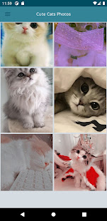 Beautiful cute cats Offline 1.1 APK screenshots 3