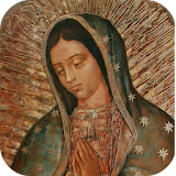 Guadalupe de Amor icon