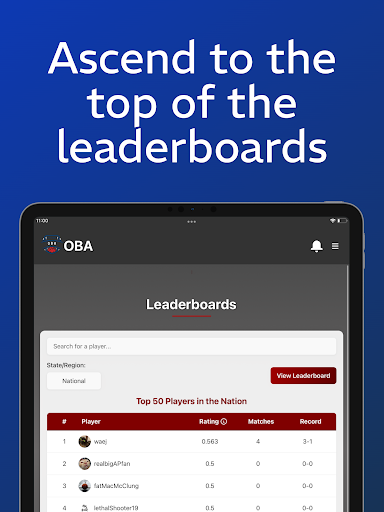 Online Basketball Association