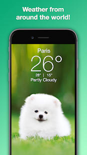 Weather Puppy - App & Widget Screenshot