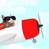 Cat Pilot icon