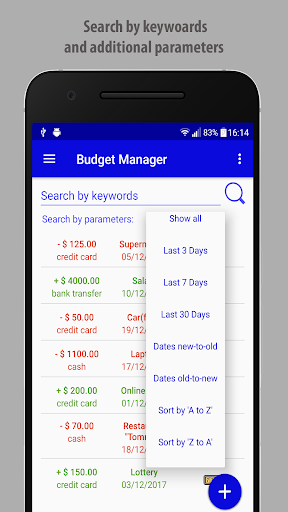 Budget Manager Screen 3