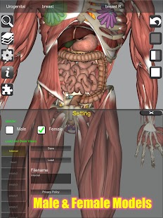 3D Bones and Organs (Anatomy) Screenshot